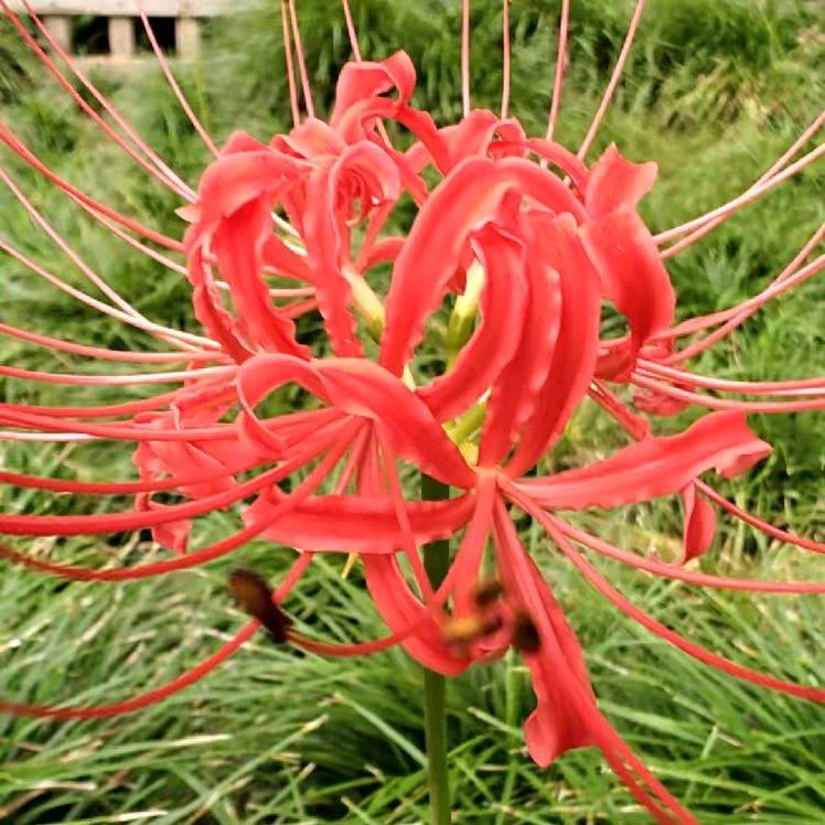 微笑9269