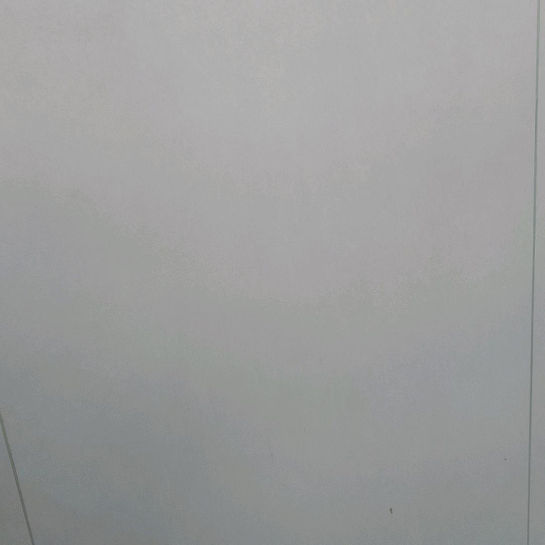 黑企鹅