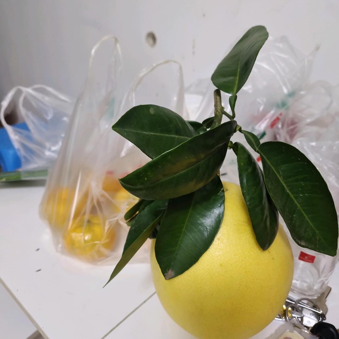 蜀都之乡