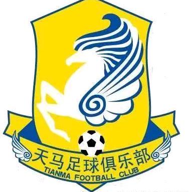 甘肃吉祥天马足球