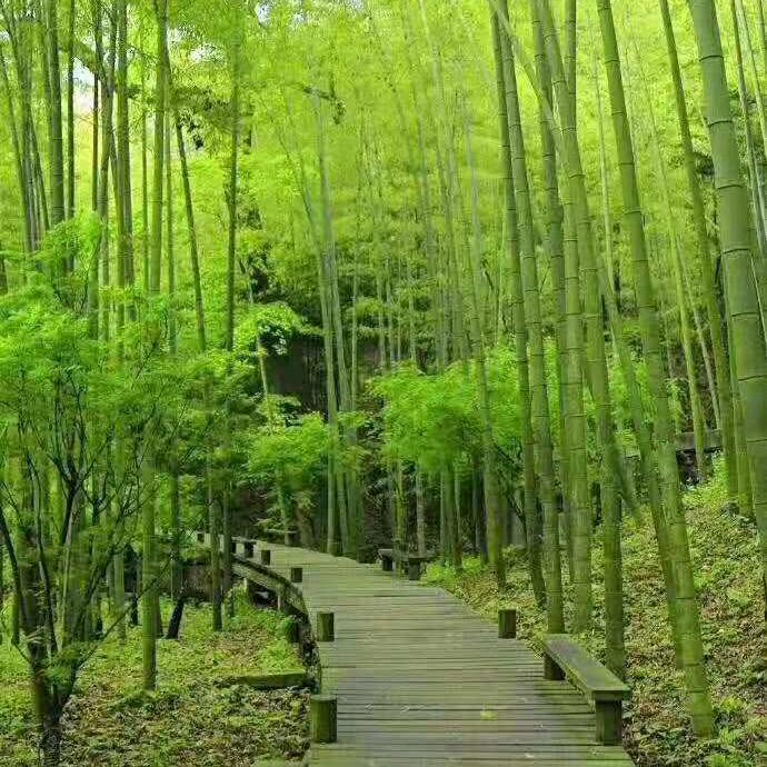 什么都爱吃