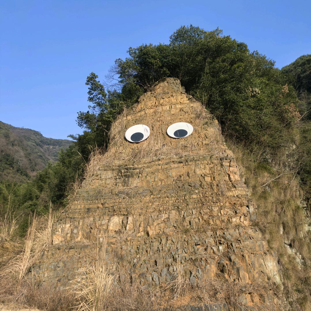 秋露叶霜堇上心