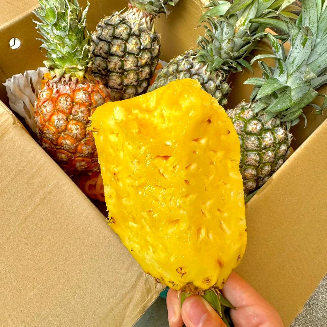 凤梨真好吃