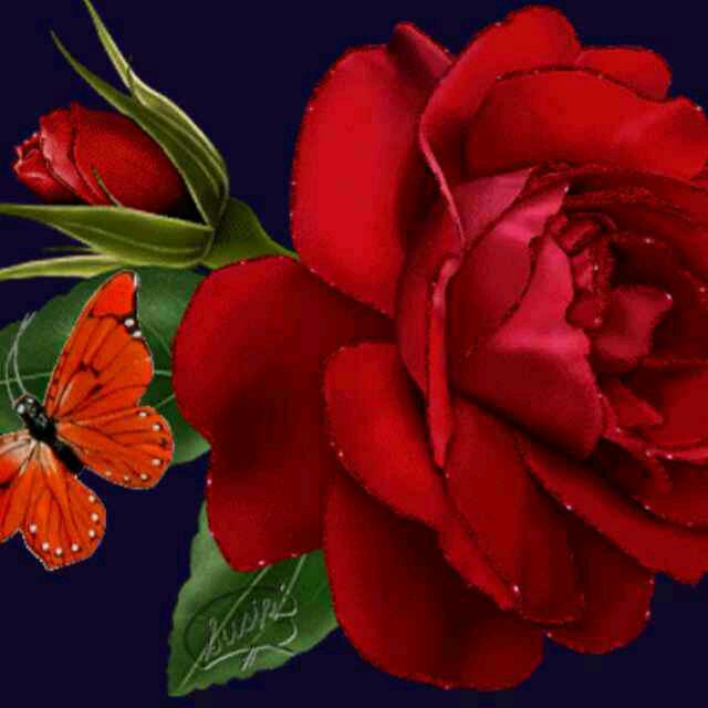 忘忧草🌴🌹