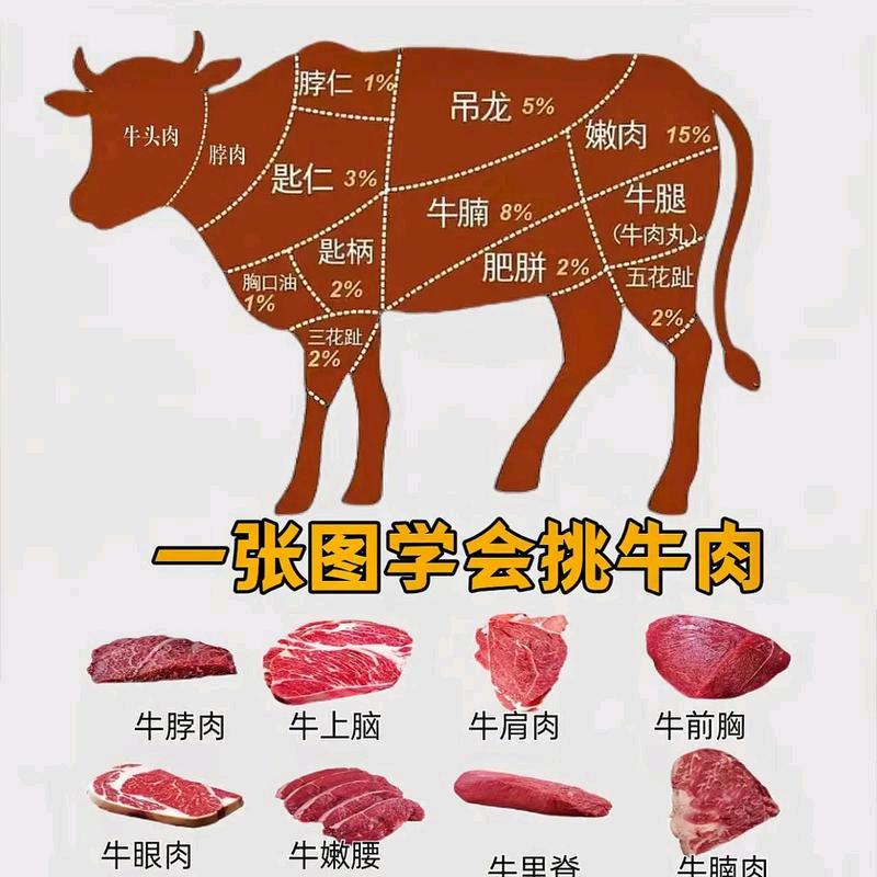 老表牛肉批发