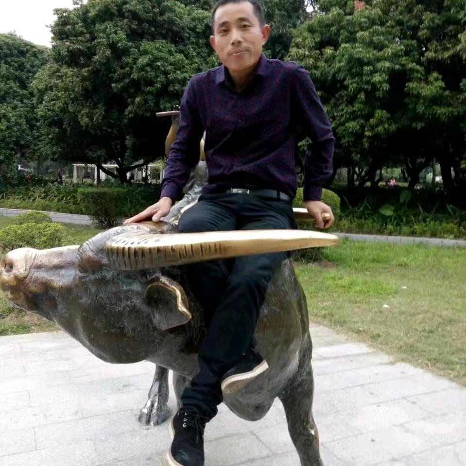 鱼港猫归