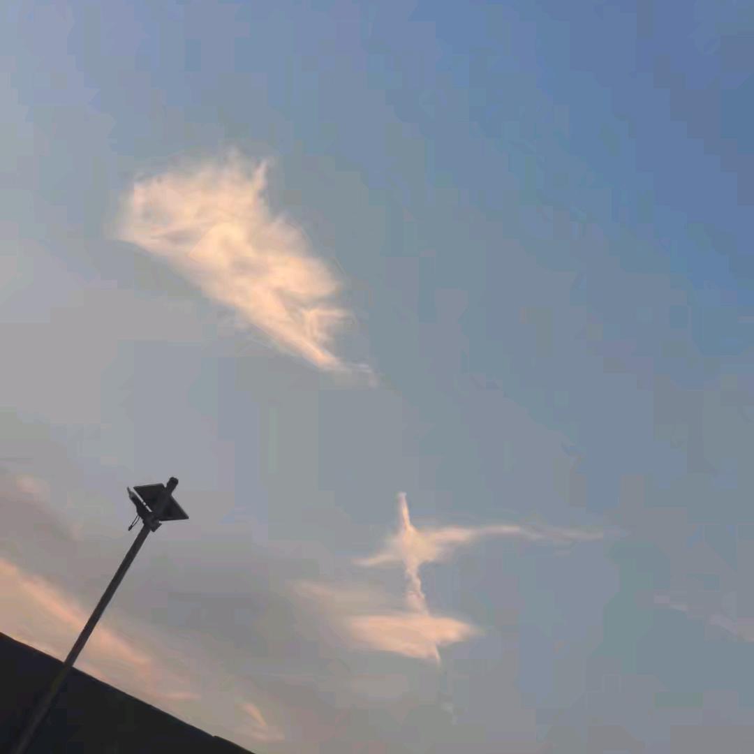 佛曰，不可说