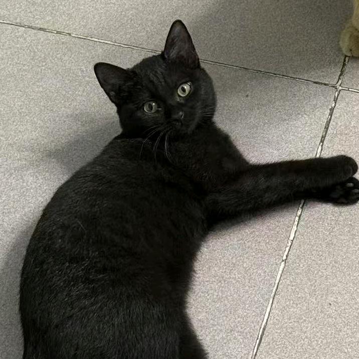 🐭🐭也想猛🏹
