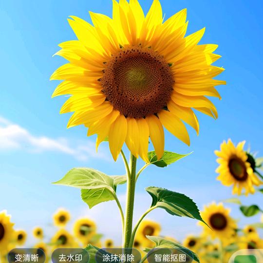 阿杰读书
