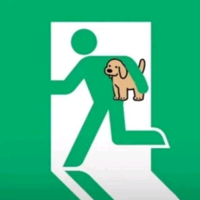 天没塌我也先睡觉