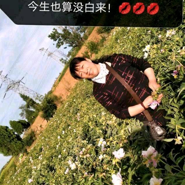 淡淡清香