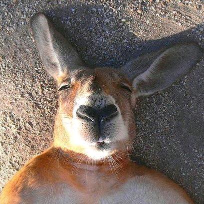 emmmm～(￣▽￣～)~