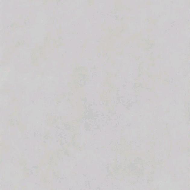 廿六