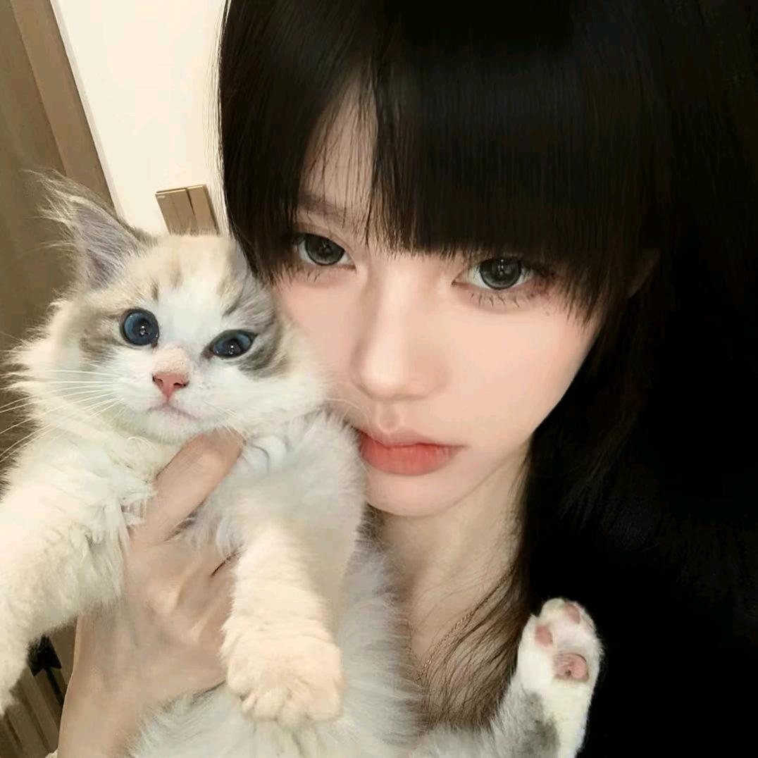 鹿桉.