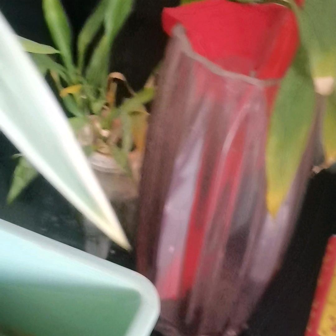 蓝天雨