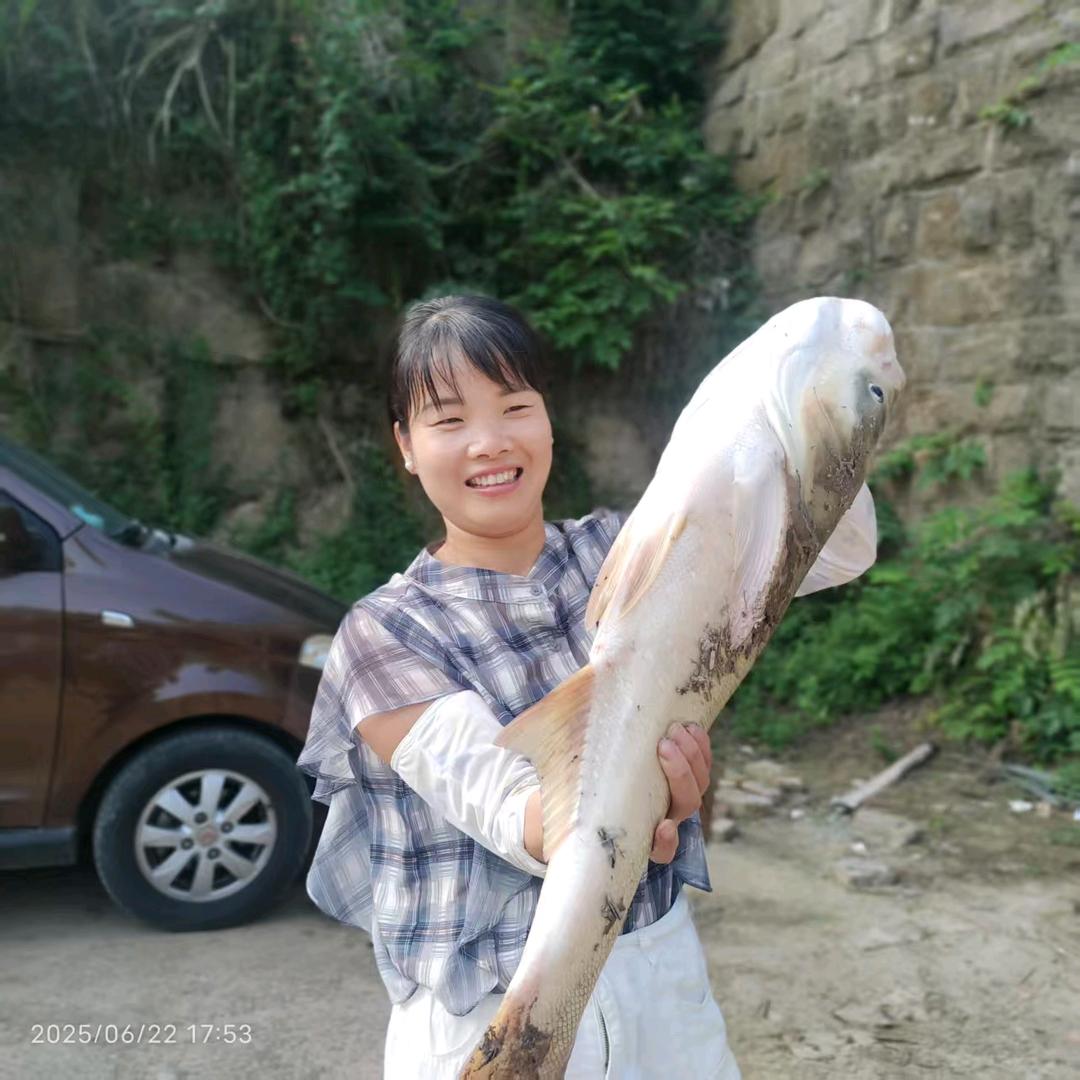 小燕