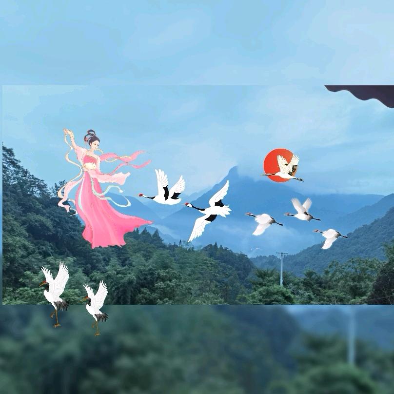 🌈中华山珍《三叔》