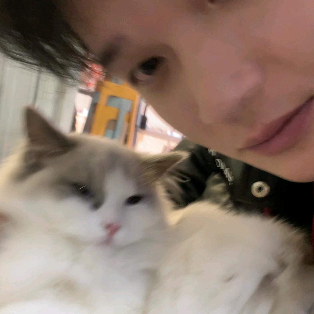 小牛聪聪