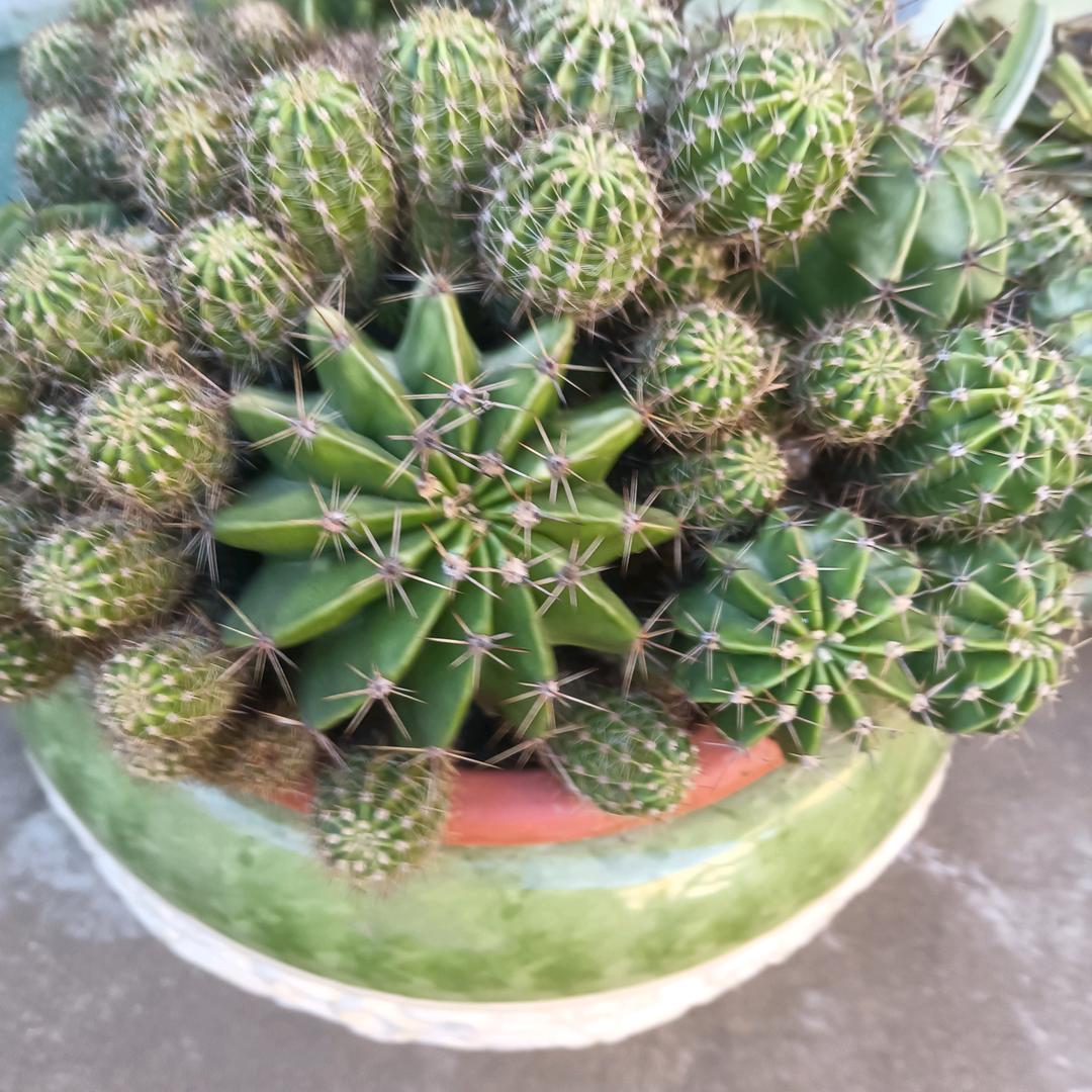 星辰大海