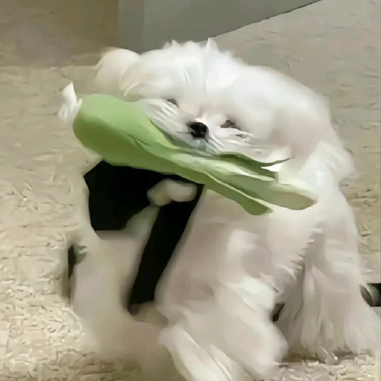 医然有你-咨询罗老师