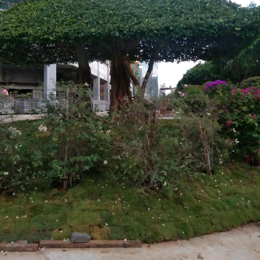 有目标就要奋斗