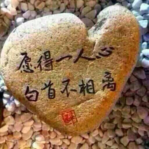 挖机大神