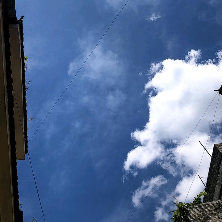@陈小琴