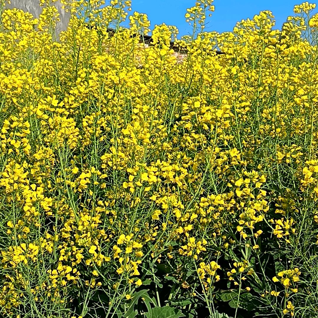 用户2014973948215昂