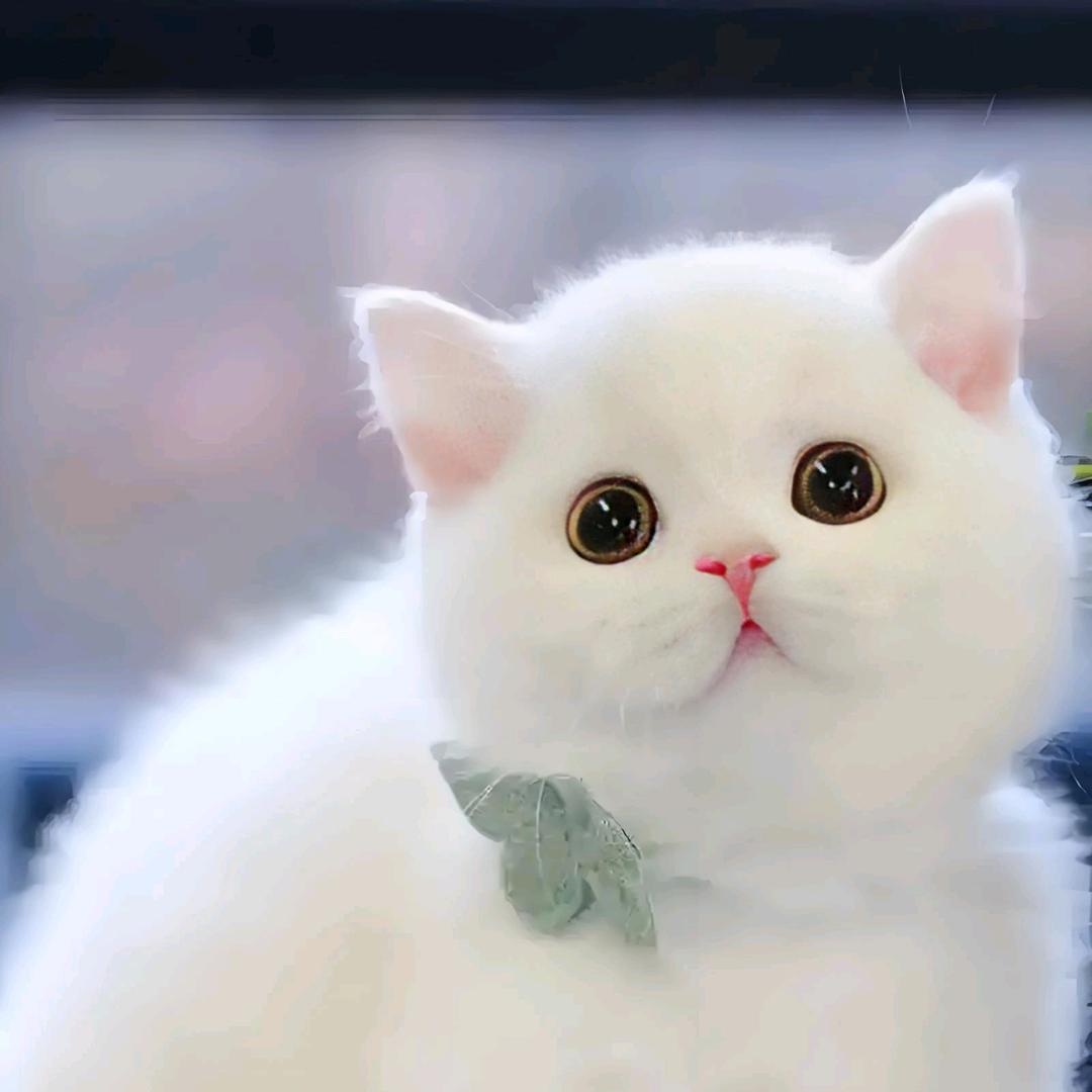 远近