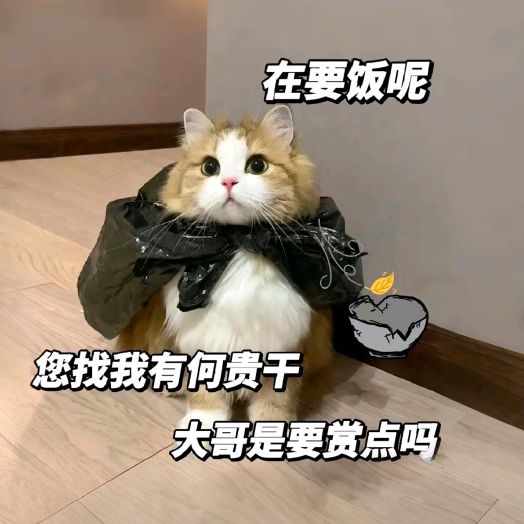 梨涡圆点⦁⩊⦁