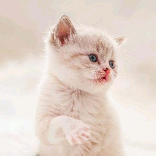 临汾市尧都区平水面粉加工部（个体工商户）