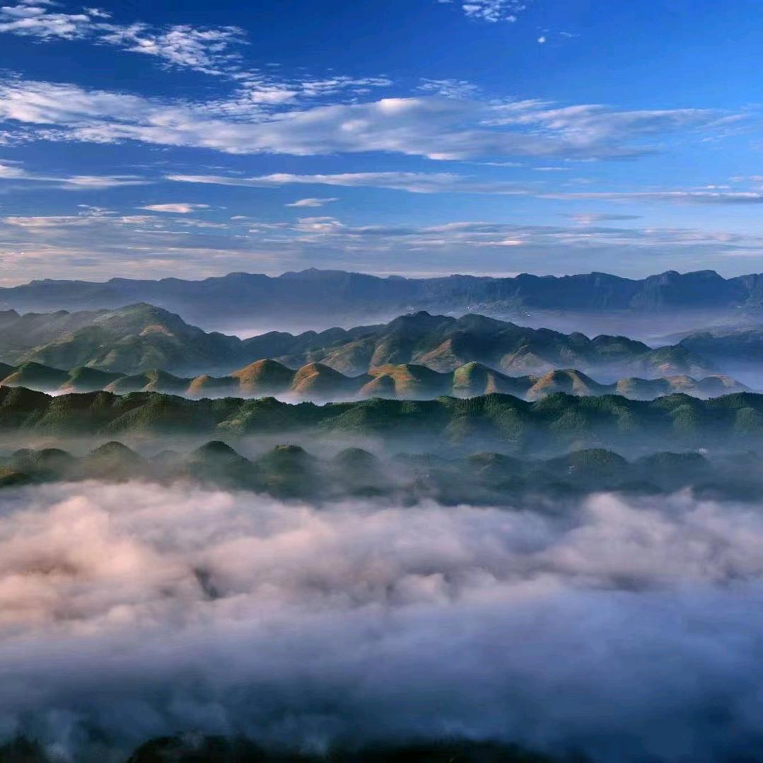 蜀南竹海土特产直销