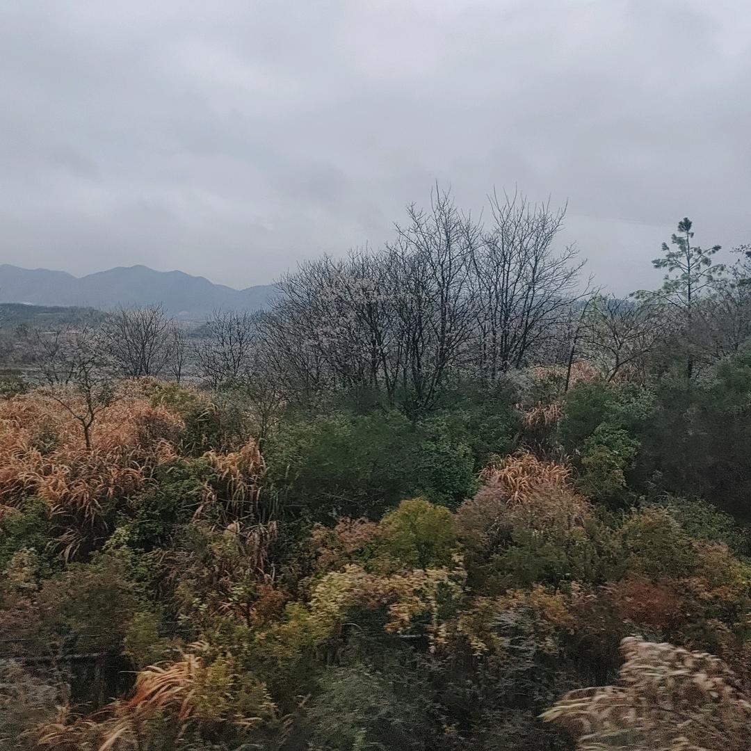 勇闯天涯