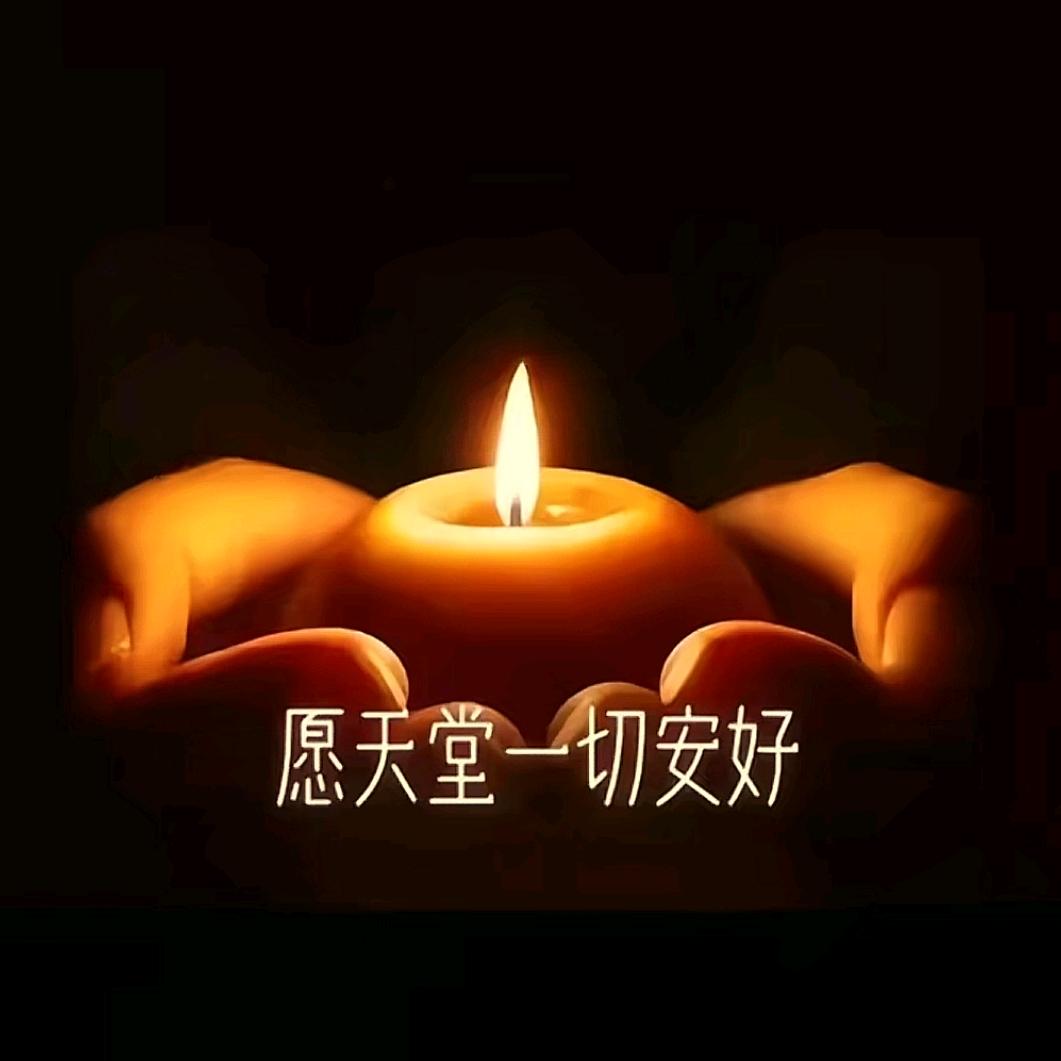 菲飞尔
