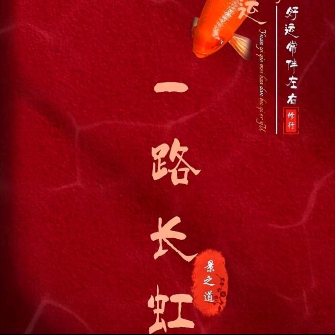 锦鲤