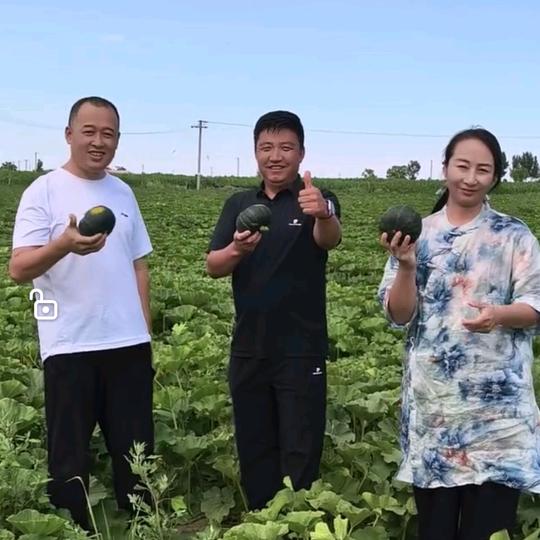 定边县硕昌丰种养殖家庭农场（个人独资企业）