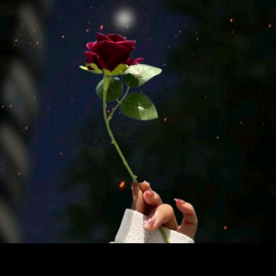 💞᭄᪲ᩚ꯭拾光、꧔ꦿ℘💋