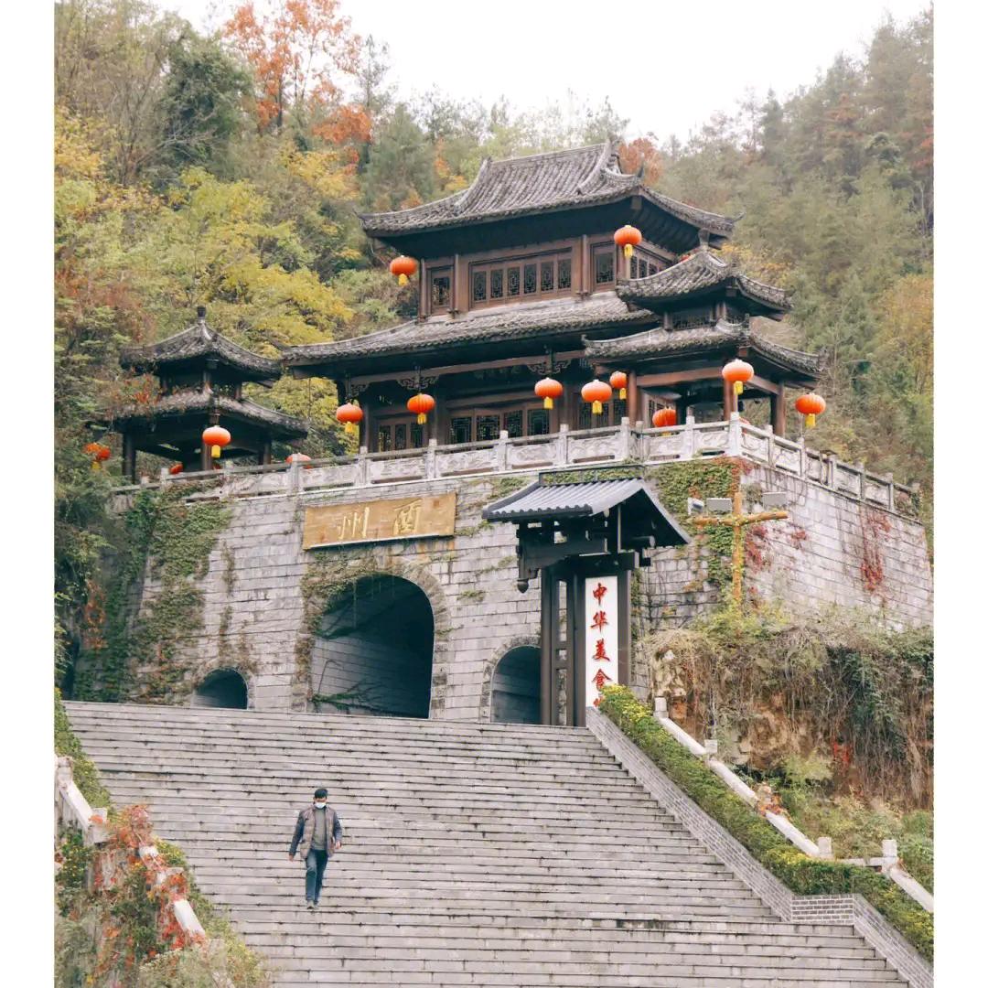 酉惊喜📷