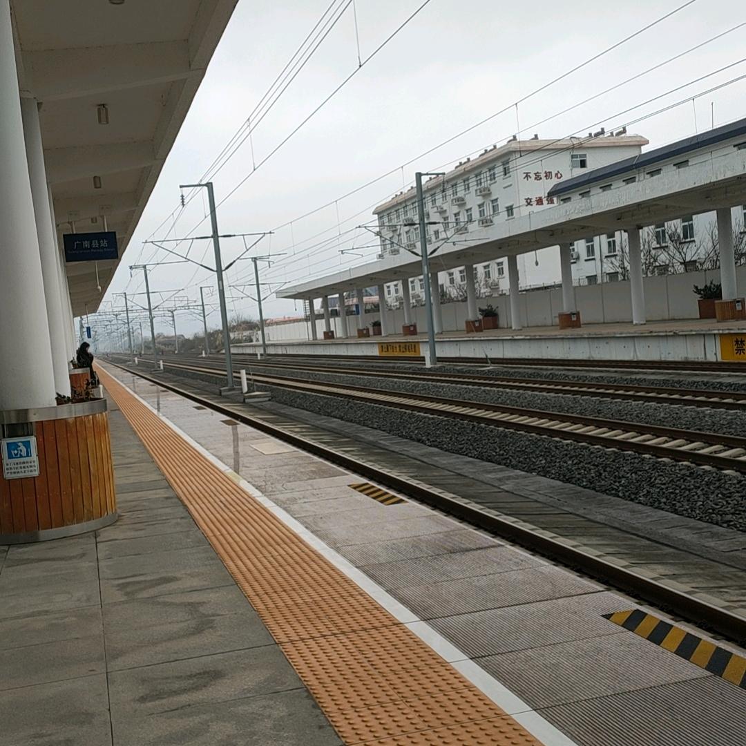 奇