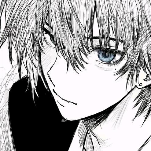 鸟兽兽小王子