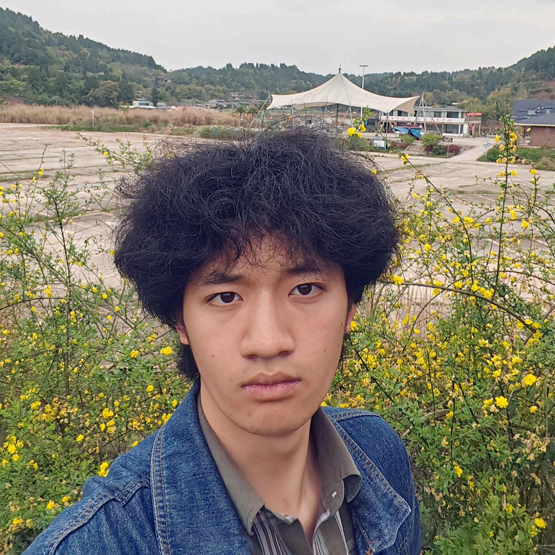 人力资源中介  小陈老师