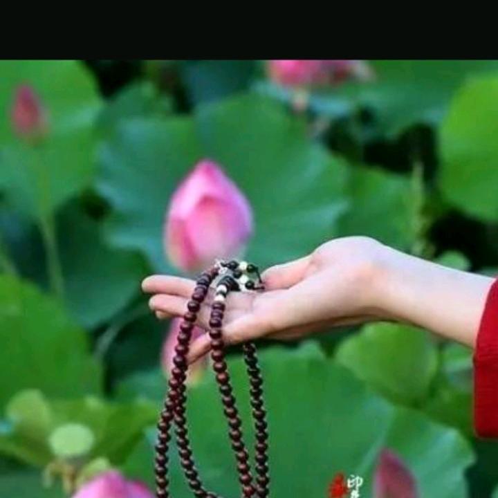幸福跟我走（拒绝闲聊）