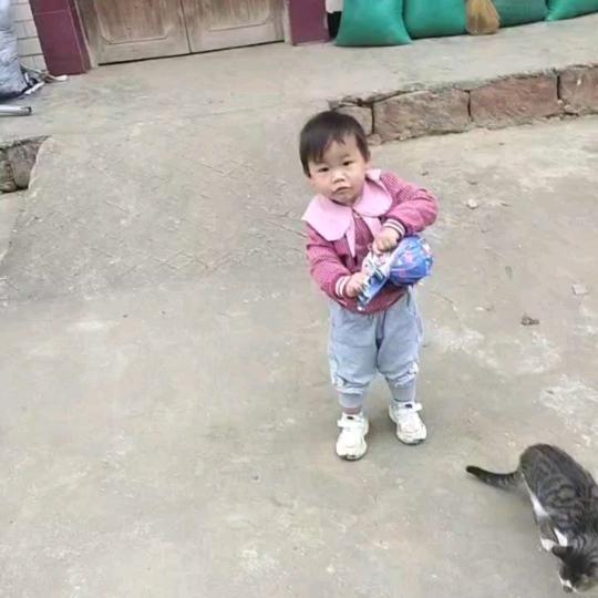 老华