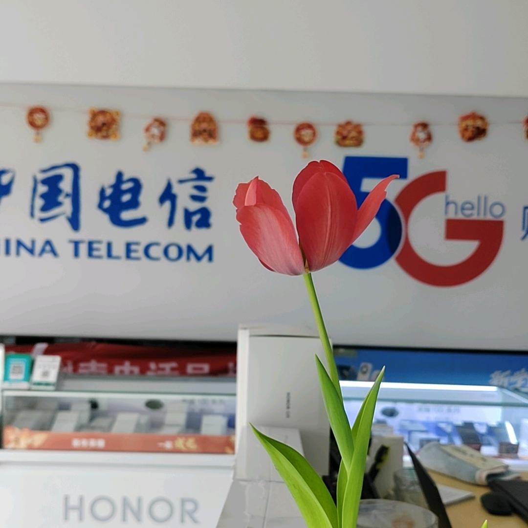 魏庙荣耀+小米（国补进行中）