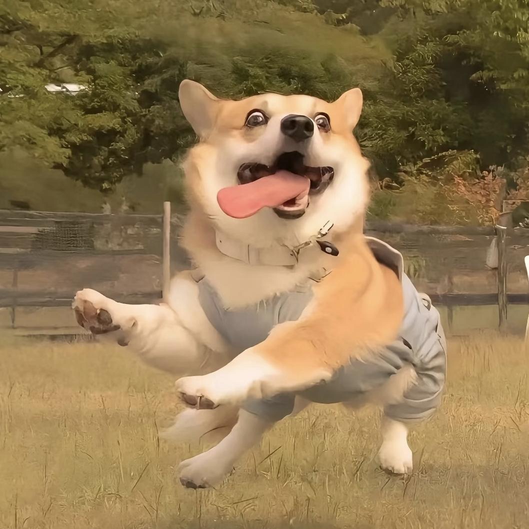 送锤子那随你吹牛