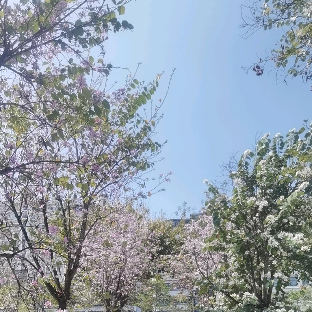 就去要去