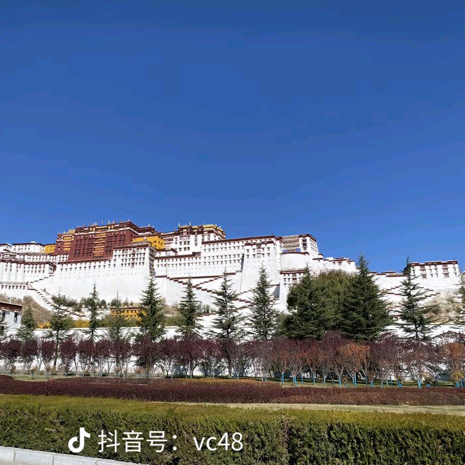 一个恋家的孩子🤒🍀🍀🍀🍀🍀?