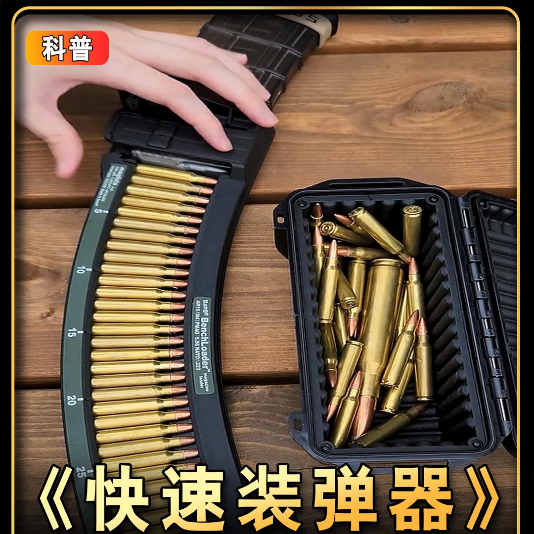 小马驹看天下