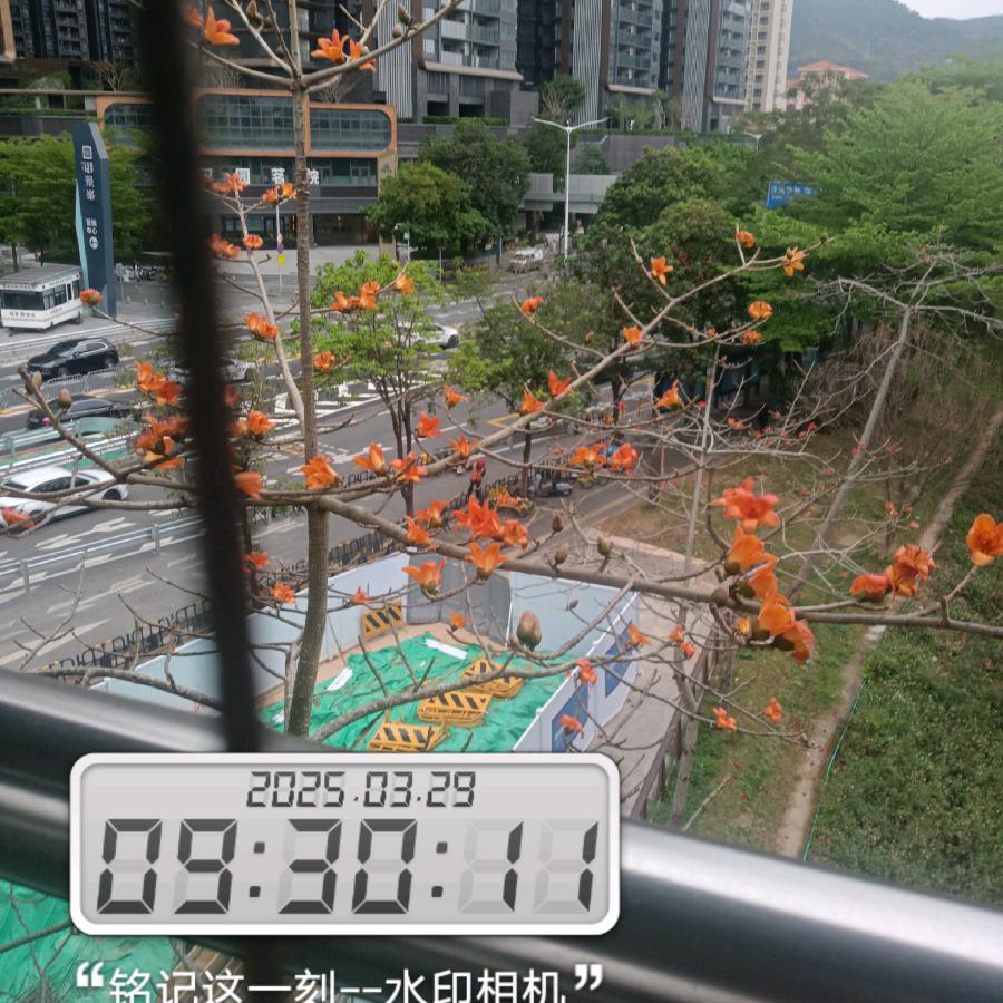 涵涵奶奶