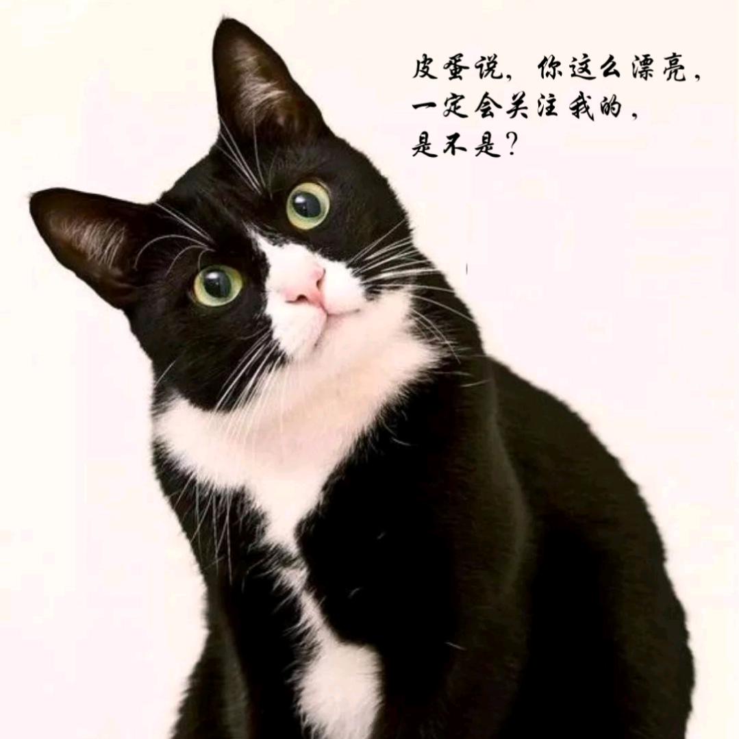 七彩虹